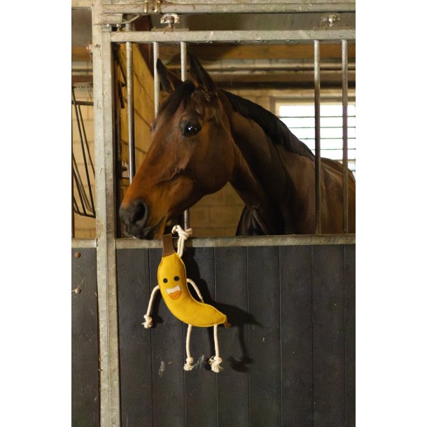 Heste legetj Banan