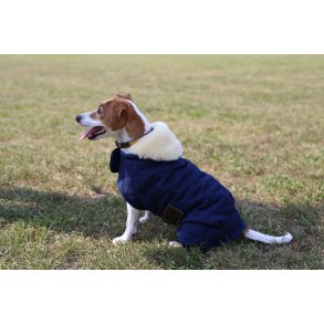 Kentucky Hundedkken Original