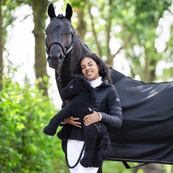 Kingsland Bamse Melvin