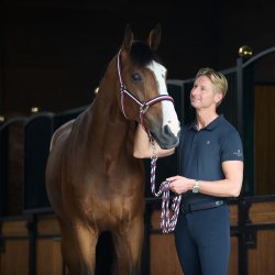 Kingsland Classic herre polo 