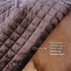 Kentucky Show Rug 160 G