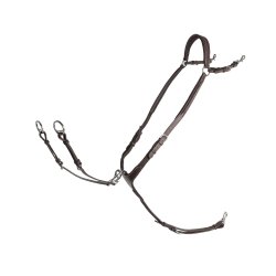 Lippo Fortj med Martingal