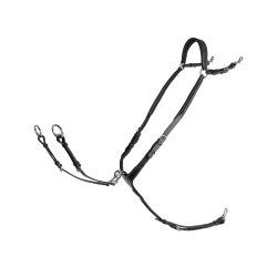 Lippo Fortj med Martingal