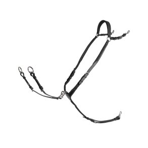 Lippo Fortj med Martingal