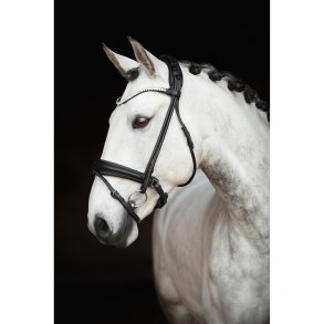 Lippo Dressur trense Rundsyet