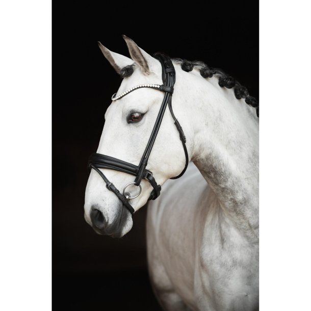 Lippo Dressur trense Rundsyet