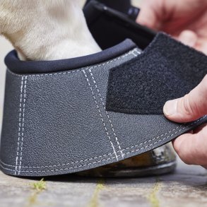 Stbben Evolution Klokker 