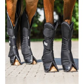 Waldhausen Transport Gamacher 