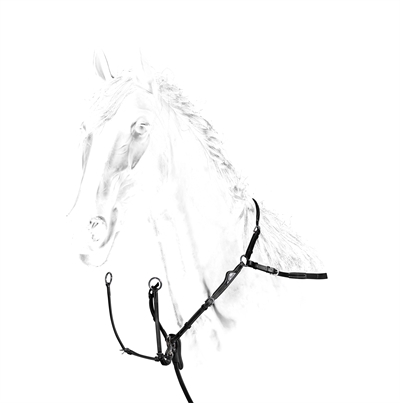 Equiline Fortøj med Martingal Sort Cob
