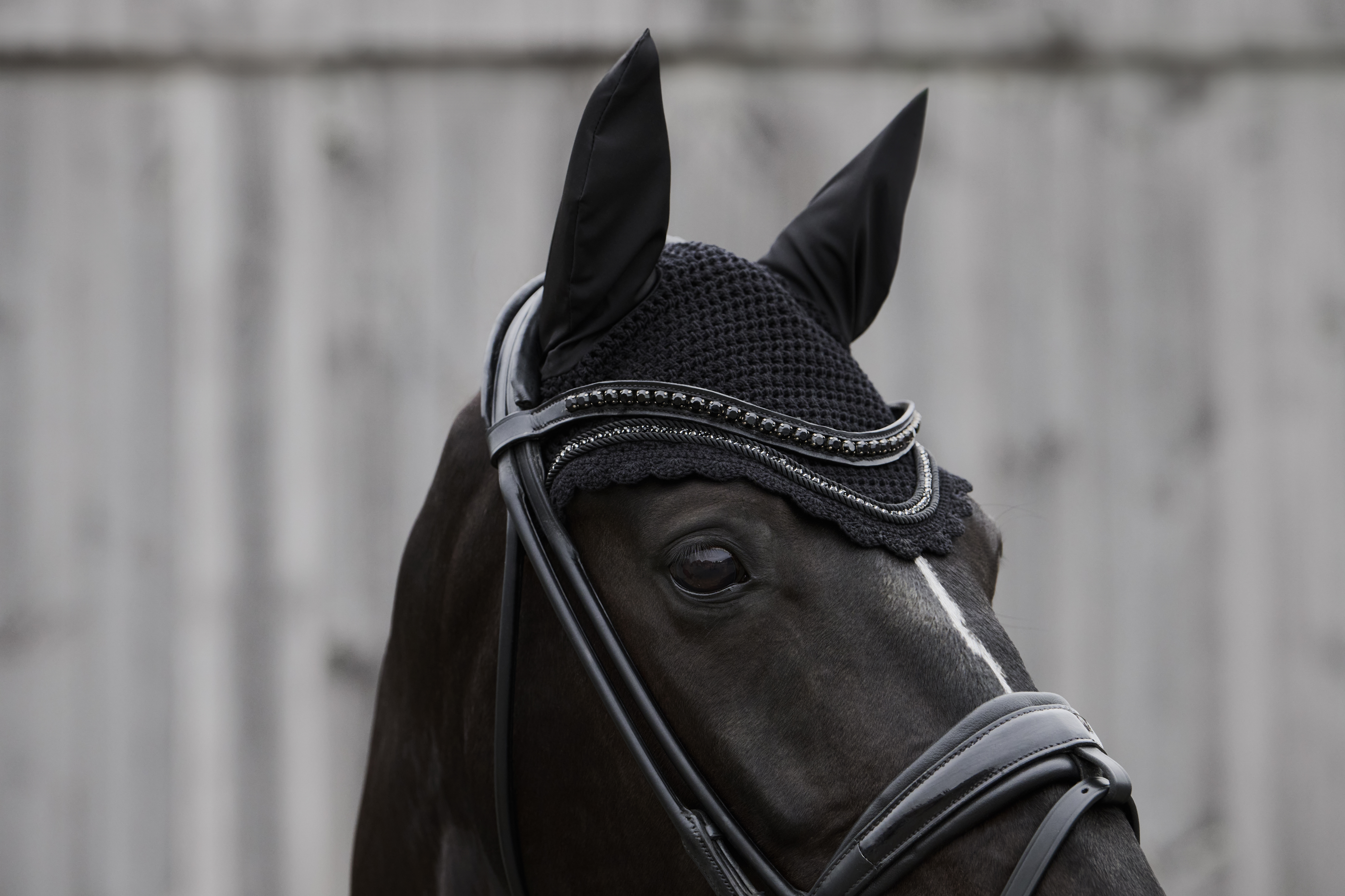 Eskadron Hut med Diamanter Navy Pony