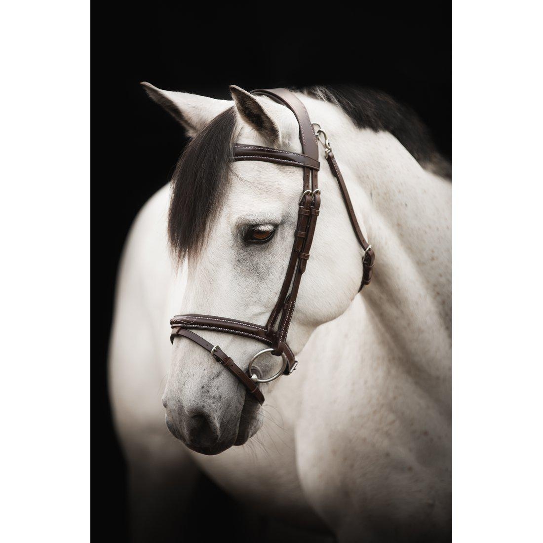 Trense Lippo Fancy Sort Full