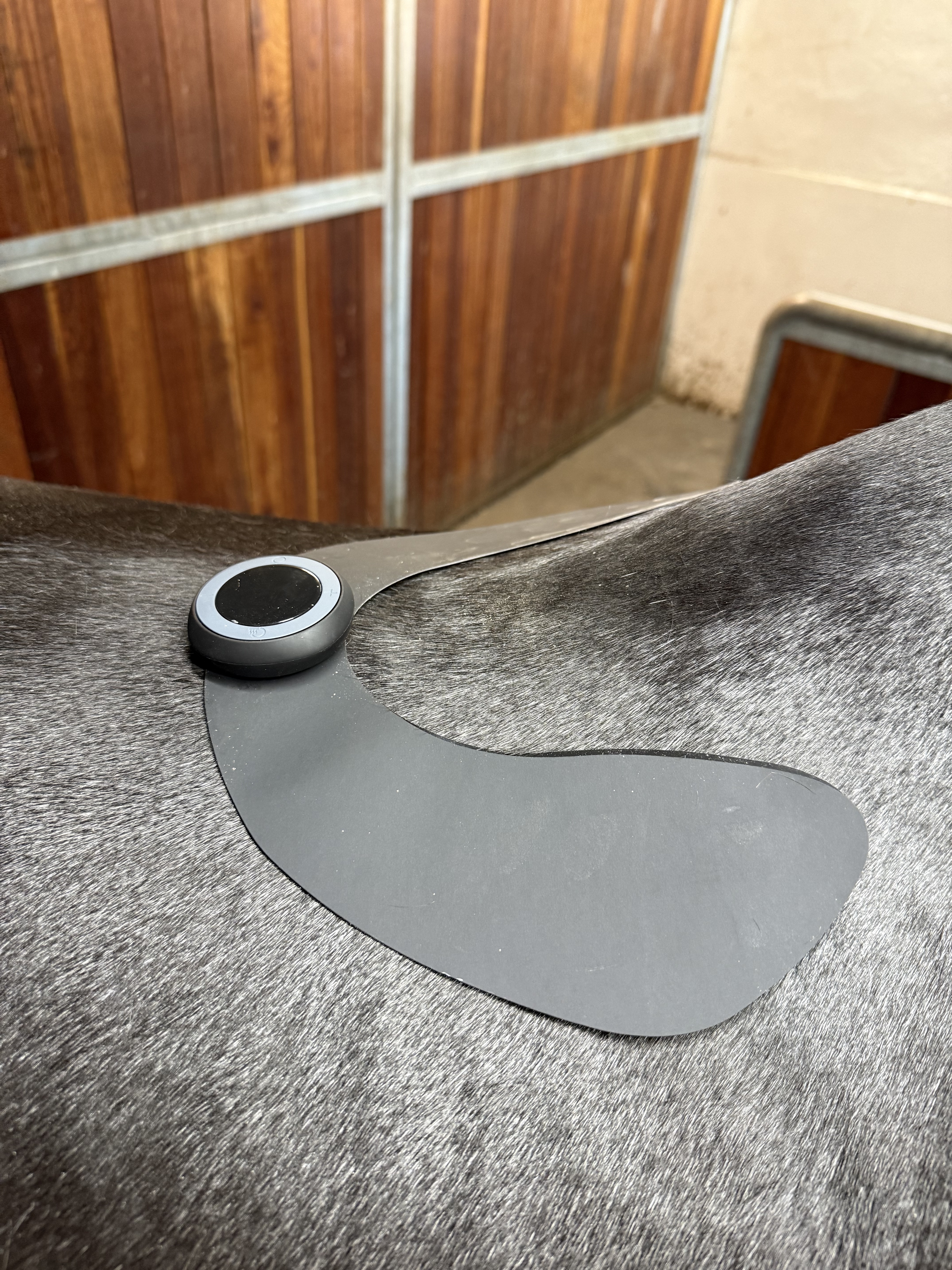 Tilbud Equine LTS TENS | Komplet sæt inkl. gel | Klar til brug