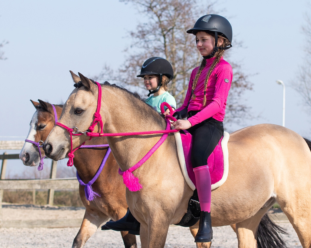 QHP Bareback Pad Pink Sheltland