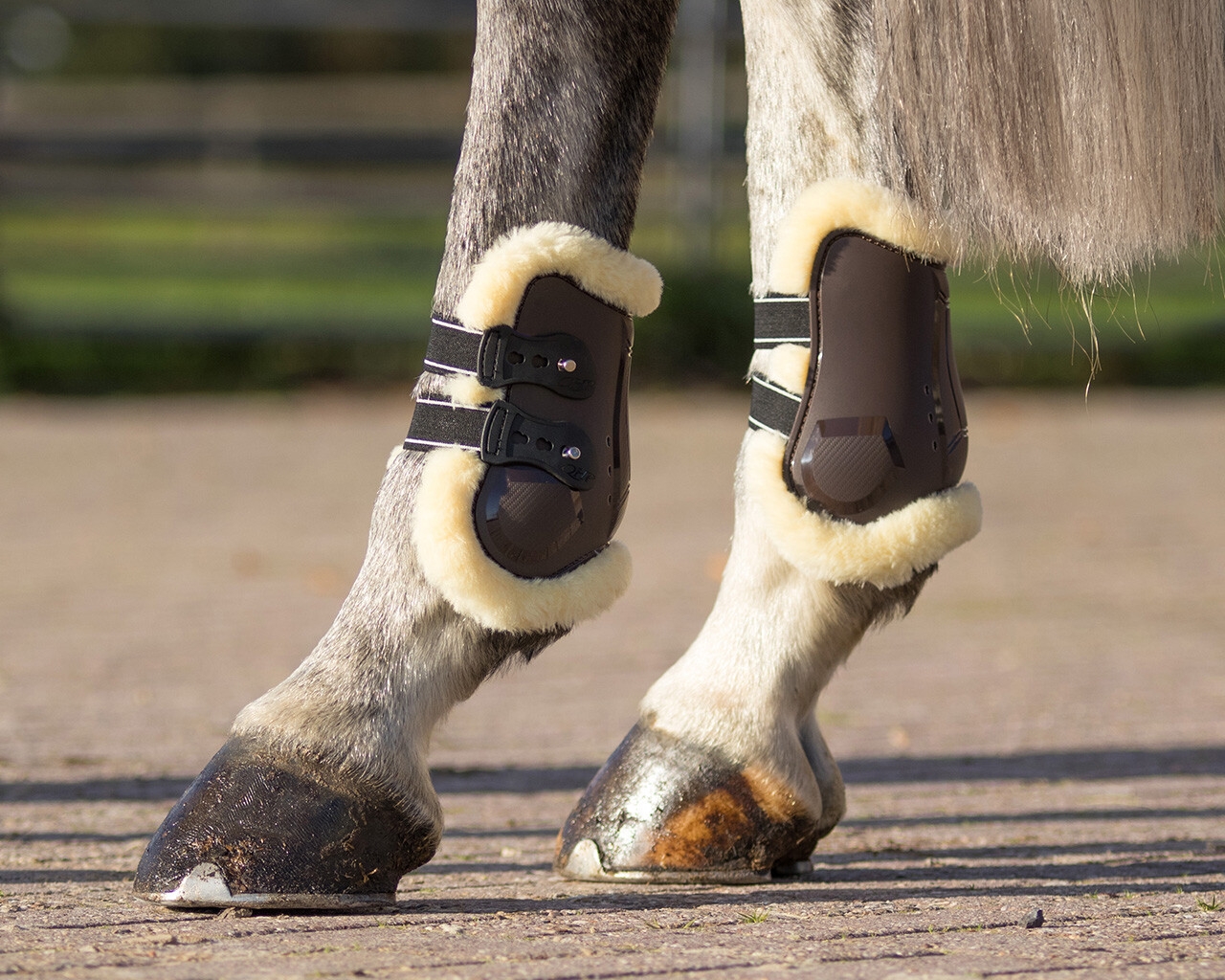 QHP Spring Gamacher med Lam Bagben Sort Cob