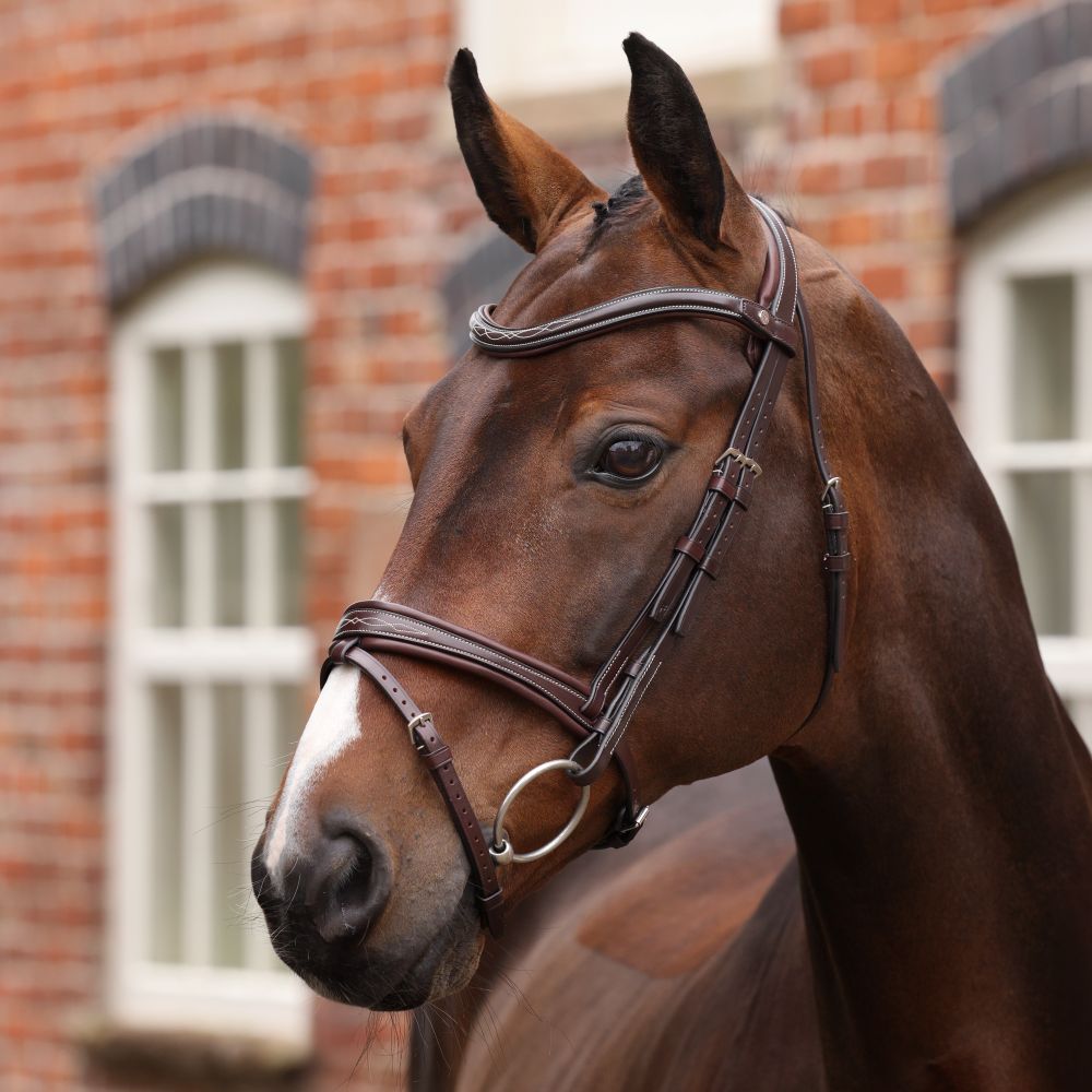 Velociti Lusso Trense Opus Sort Pony